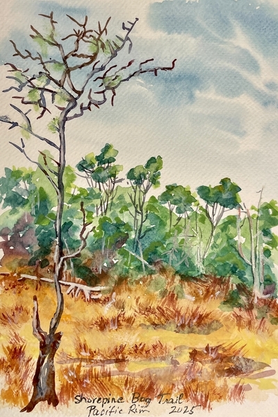 Shorepine Bog, Pacific Rim National PArk